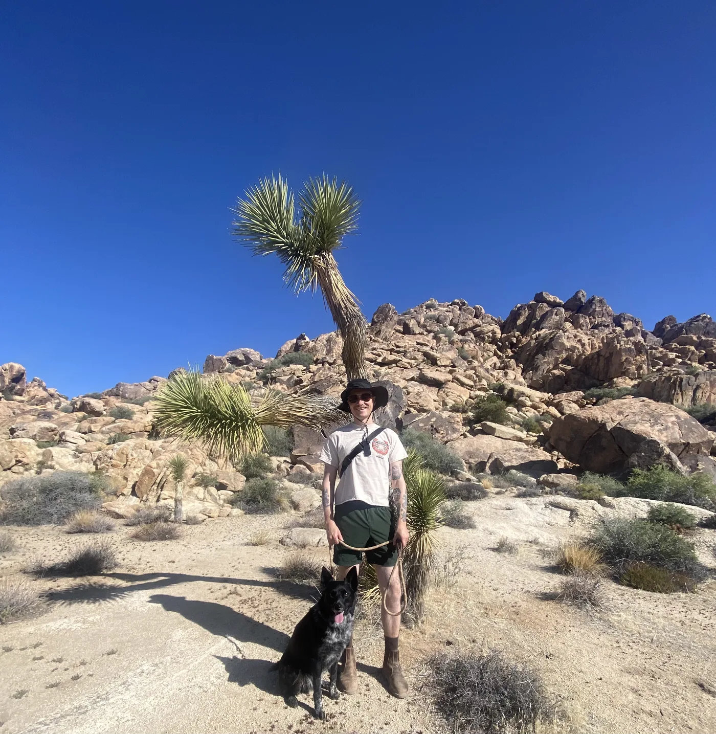 Cody hiking in Joshua Tree National Park with one of his dogs, a Joshua tree behind them